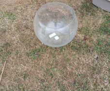 fishbowl