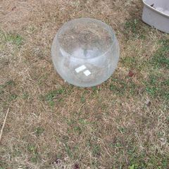 fishbowl