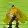 motu action figure Image 2