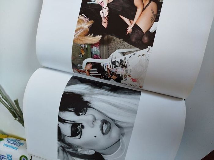 Lady Gaga Book