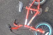 kids dino bike