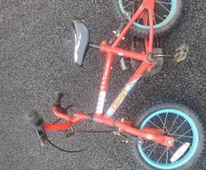kids dino bike