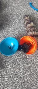 Moving Ferret like new barely used