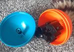 Moving Ferret like new barely used