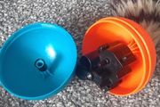 Moving Ferret like new barely used