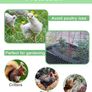 Chicken Wire Mesh  35CM by 15M Garden Animal Barrier Fence, 1 inch Mesh Fence for Pet,Rabbit,Poultry Image 4