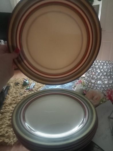 10 Large plastic picnic plates
