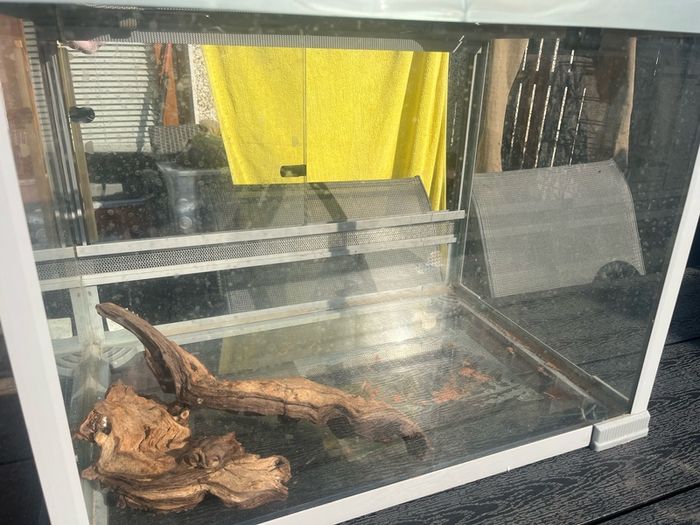 Glass Vivarium