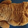 Large Dog Image 3