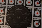 vinyl polecats rockabilly guy 7"
