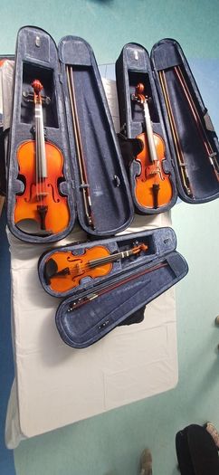 Violin