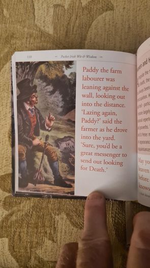 Pocket Irish With And Wisdom. Hardback In Very Good Condition.