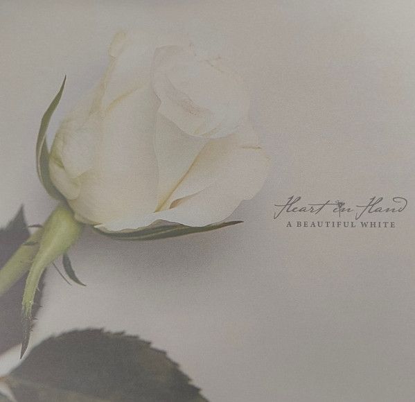 Heart In Hand - A Beautiful White
