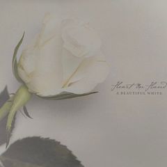 Heart In Hand - A Beautiful White