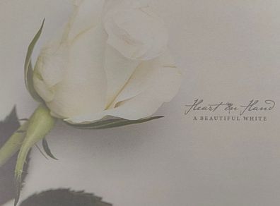 Heart In Hand - A Beautiful White