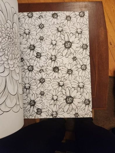 The Flowers And Nature Colouring Book.  Large Volume Paperback In Good Condition.