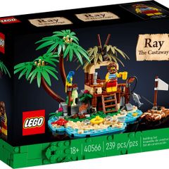 Lego Set No. 40566 - Ray the Castaway