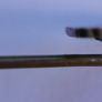 Victorian Gold Metal Antique Stick Pin with Gold Plated  Flower Image 6