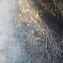 Brand new original painting Image 9