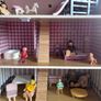 dollhouse Image 6