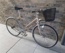 Retro ladies bike