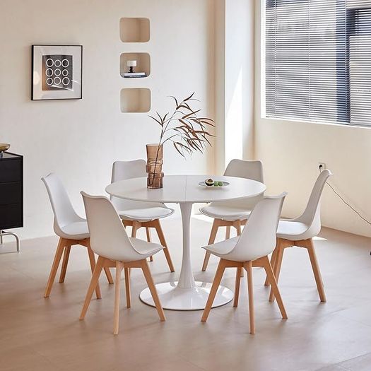 Set of 6 Dining Chairs, Padded Chairs