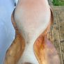 County Saddlery Stabilizer Show Jumping Saddle Made in England Image 5