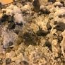 Vintage Hand-made mining pewter figures on pyrite Image 6