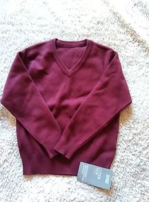 New with tag wine v beck jumper