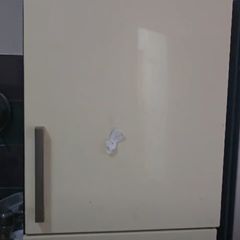 fridge and freezer