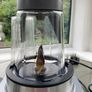 Ninja Power Blender - 22mth Warranty Image 6