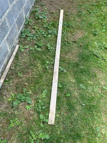 Plank of wood