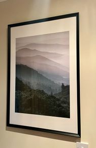 Framed Posters