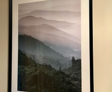 Framed Posters