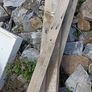 Old Joists Image 4