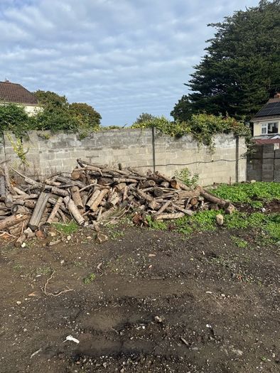 free logs to take away