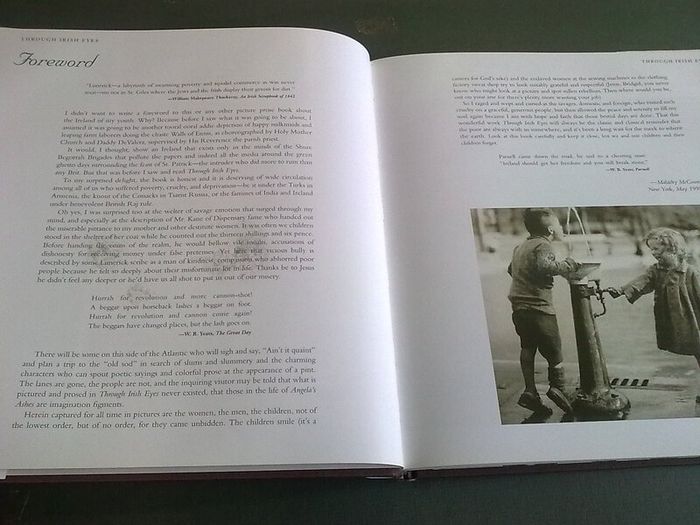 Through Irish Eyes The Limerick of Angela's Ashes Ireland History