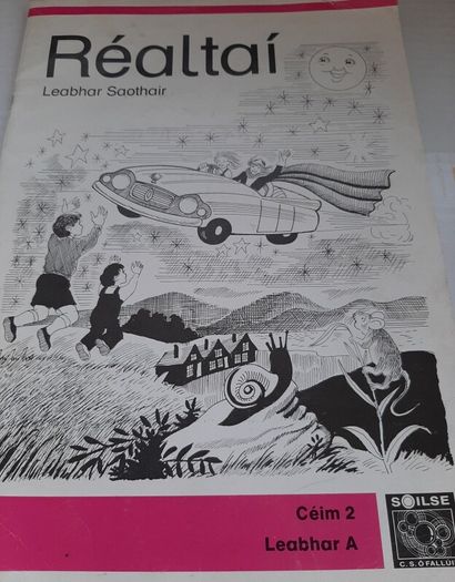Fallons vintage Gaeilge books