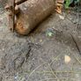 Antique Farm Seeder Image 3