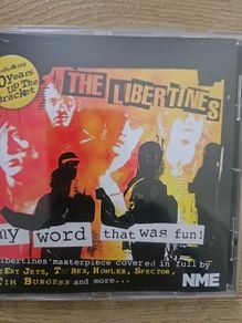The Libertines - My Word That Was Fun!
