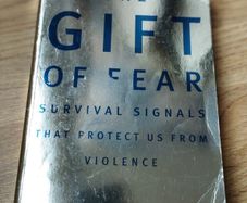 The Gift of Fear by Gavin De Becker