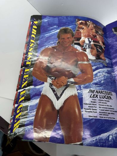 Wwe WWF European spring Tour 1993 Official souvenir Programme
