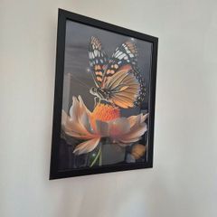 A4 Print in a frame