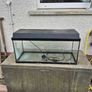 large fish tank Image 2