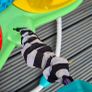 Baby Bouncer Image 5