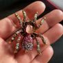 Tarantula Pink & White Sparkling Crystals Spider Brooch Shawl Pin Badge Image 4
