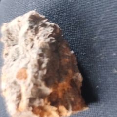 Rock