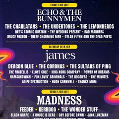 Forest Fest Weekend Adult ticket below FV