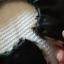 Fur Collar Image 4