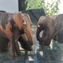Lovely pair of Vintage Solid Rosewood Wooden Hand Carved Elephants Image 3